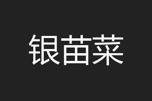 银苗菜