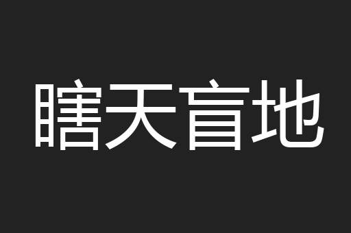 瞎天盲地