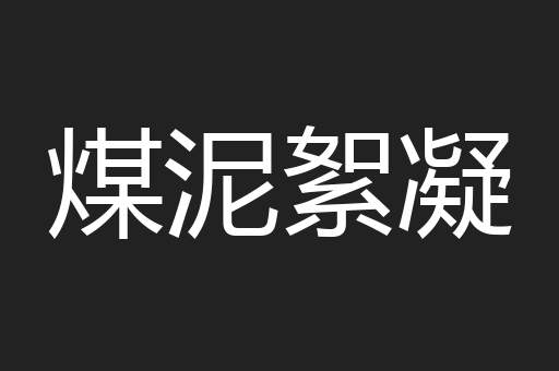 煤泥絮凝
