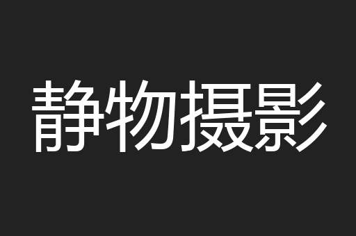 静物摄影
