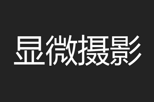 显微摄影