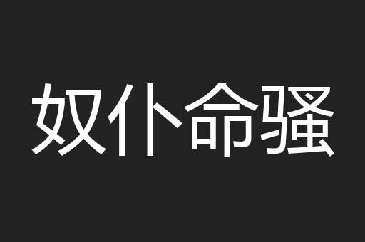 奴仆命骚