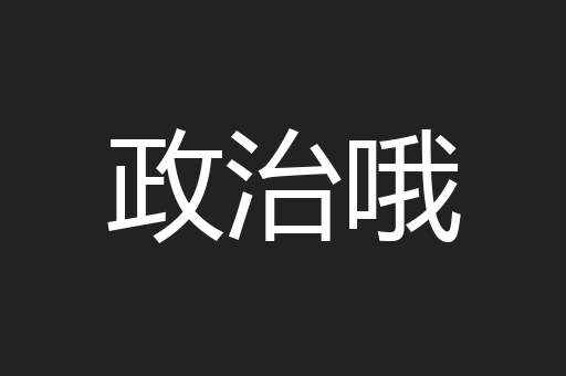 政治哦