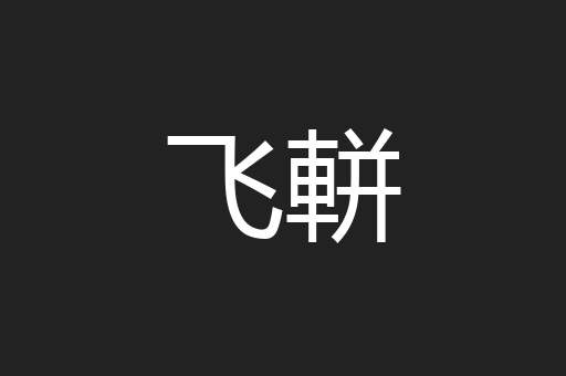 飞軿