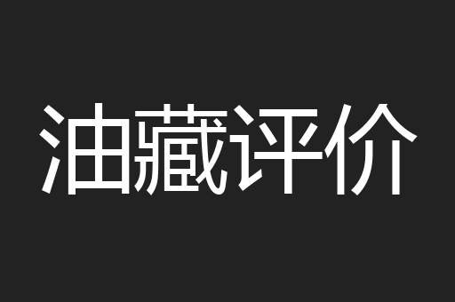 油藏评价
