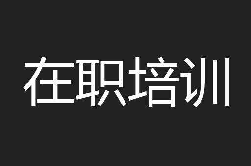 在职培训