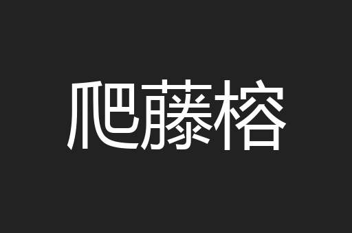 爬藤榕