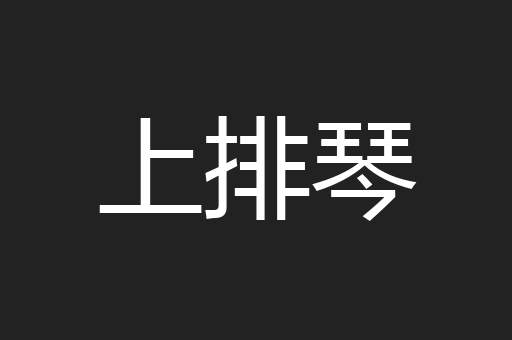 上排琴