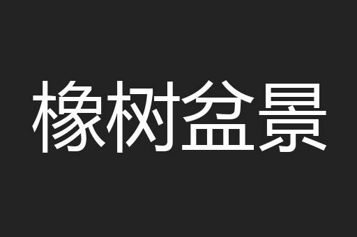 橡树盆景