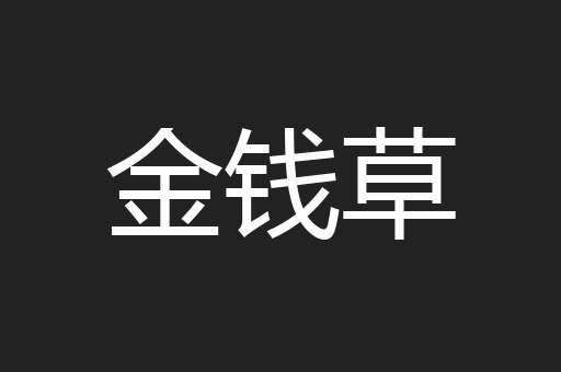 金钱草