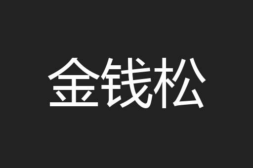 金钱松