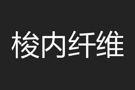 梭内纤维