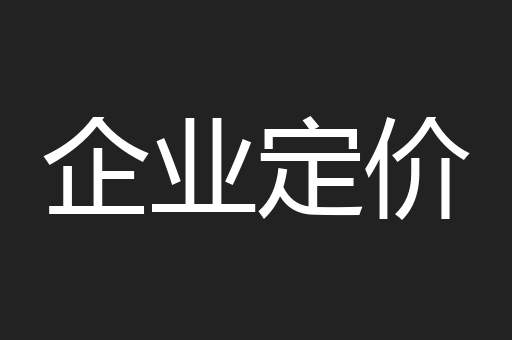 企业定价