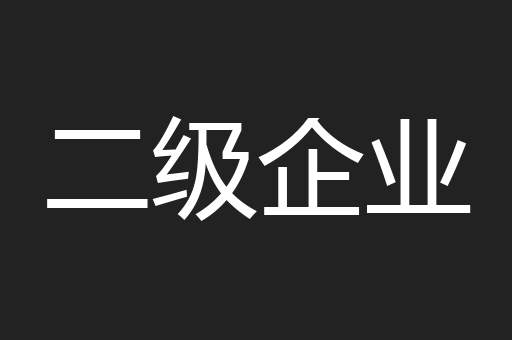 二级企业