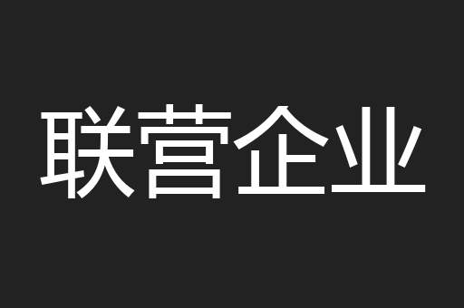 联营企业