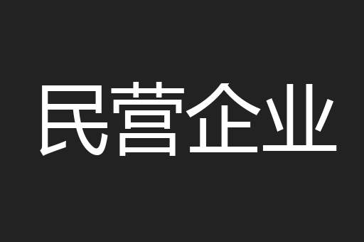 民营企业