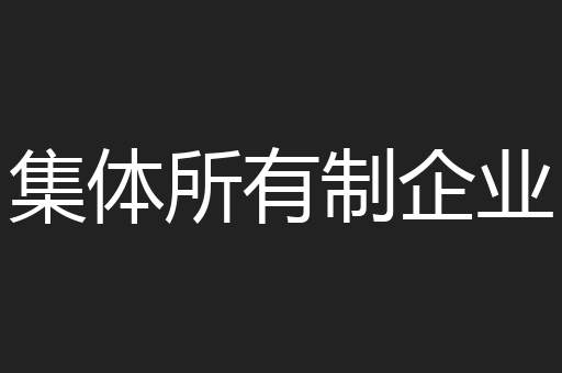 集体所有制企业