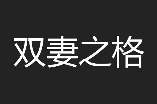 双妻之格