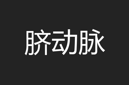 脐动脉