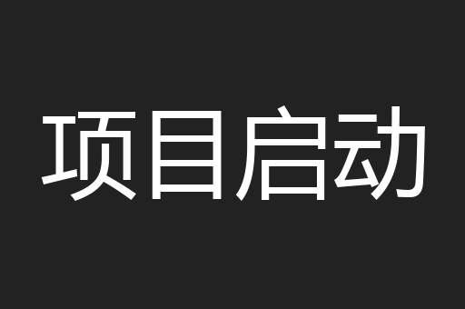 项目启动