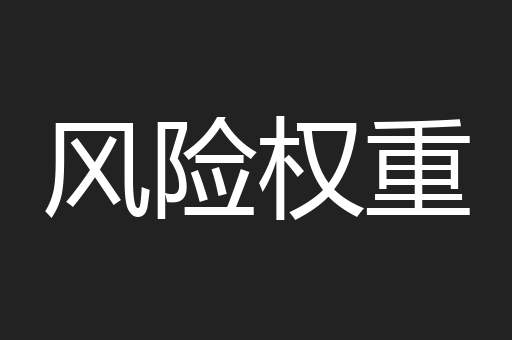 风险权重