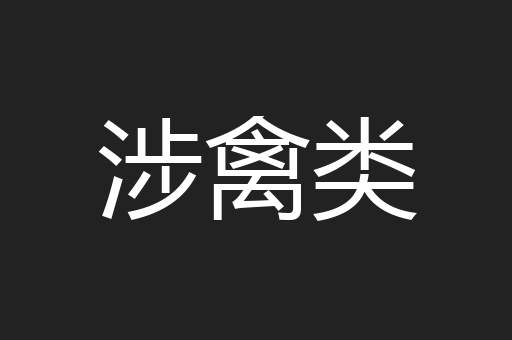 涉禽类