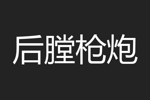 后膛枪炮