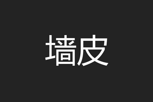 墙皮