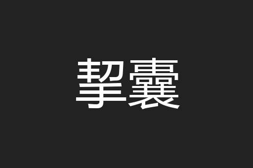 挈囊