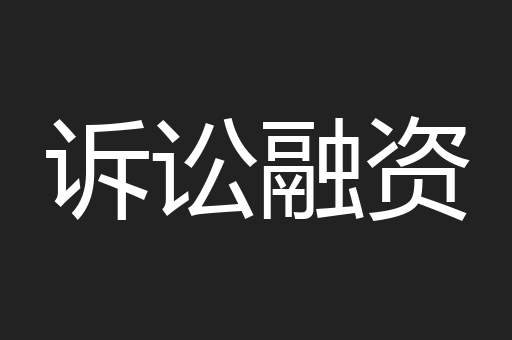 诉讼融资