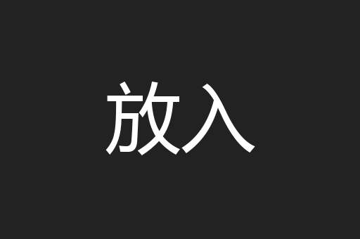 放入