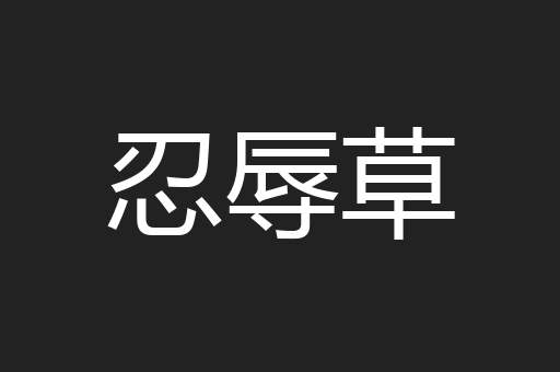 忍辱草
