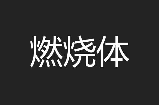 燃烧体