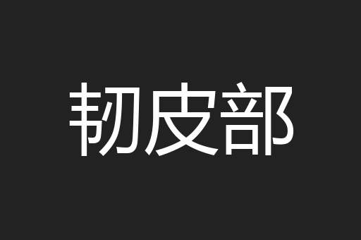 韧皮部