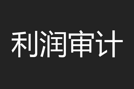 利润审计