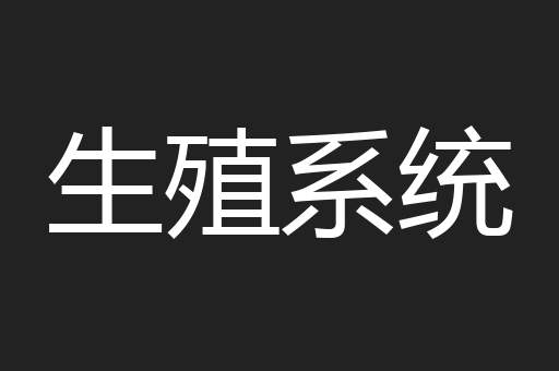 生殖系统