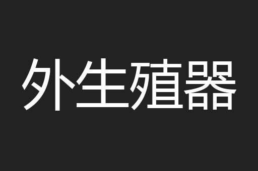 外生殖器