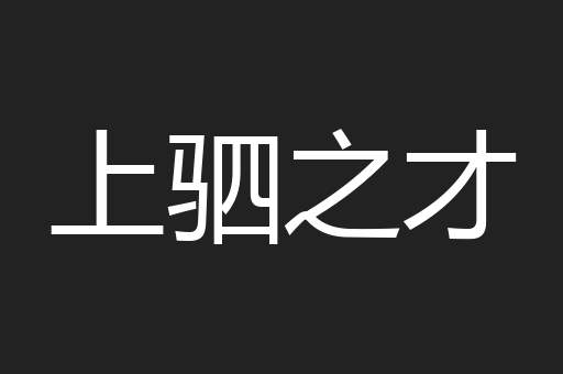 上驷之才