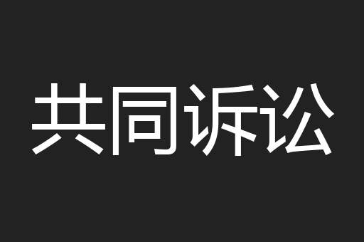 共同诉讼
