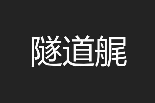隧道艉