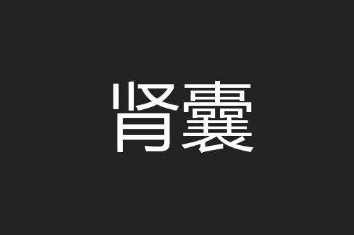 肾囊