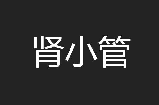 肾小管