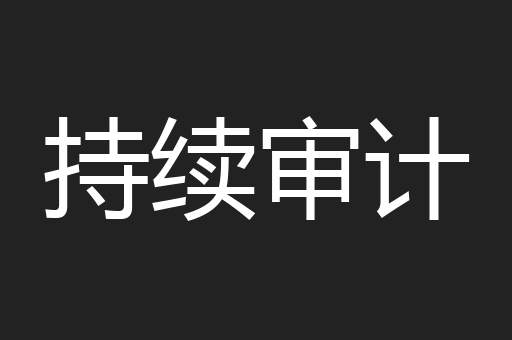 持续审计