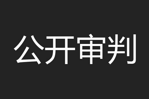 公开审判