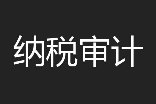 纳税审计