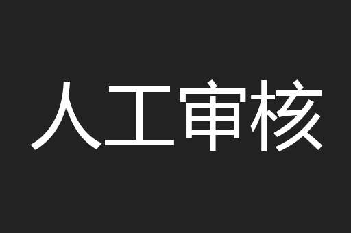 人工审核
