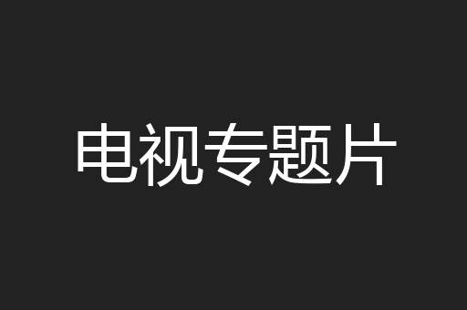 电视专题片