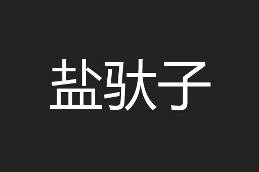 盐驮子