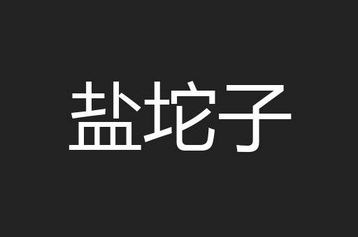 盐坨子