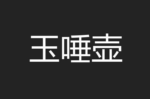 玉唾壶